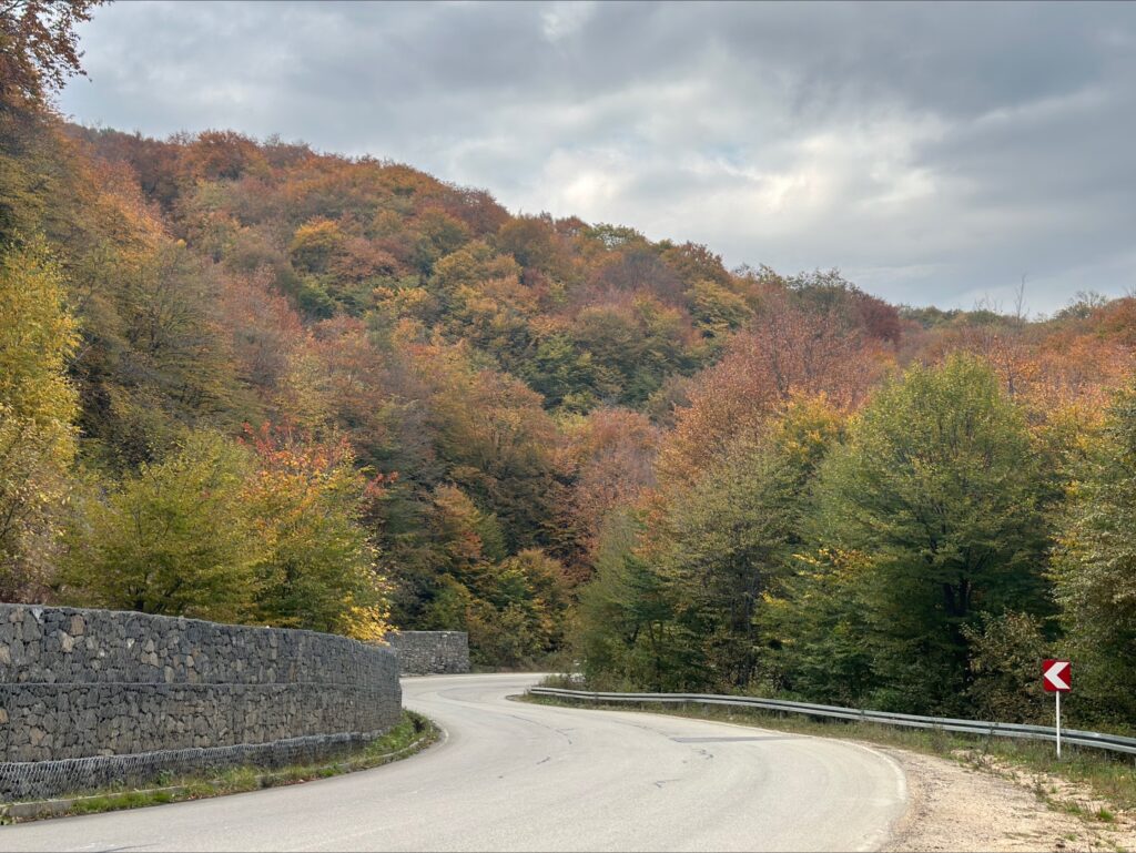 autumn in Georgia